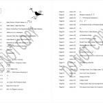 Level 1 - Sample contents page